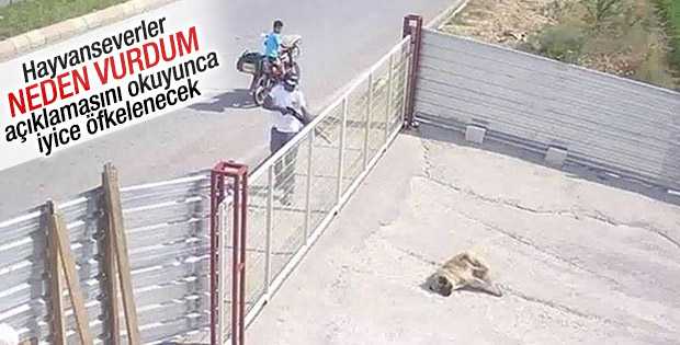 Edirne'de köpeği pompalı tüfekle vuran adam konuştu