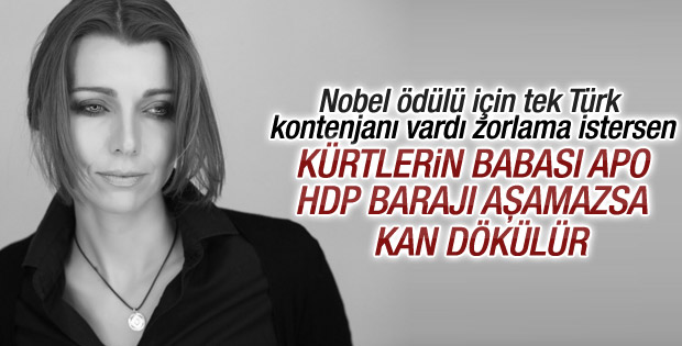 Elif Şafak'tan HDP yazısı