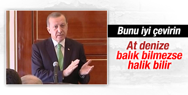 Cumhurbaşkanı Erdoğan Cibuti'de