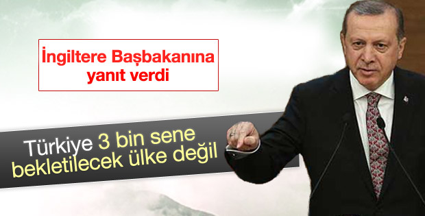Cumhurbaşkanı Erdoğan'dan Cameron'a 3 bin sene yanıtı