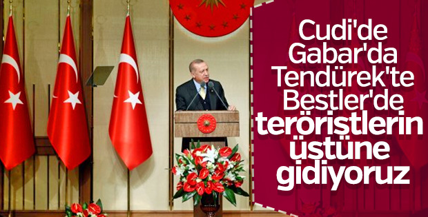 Cumhurbaşkanı: Teröristlerin üstlerine gidiyoruz