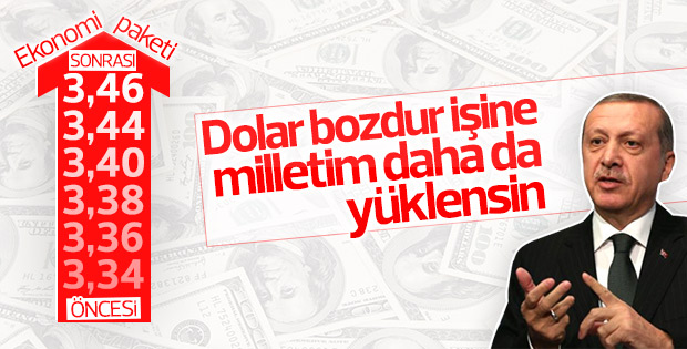 Erdoğan'dan döviz açıklaması