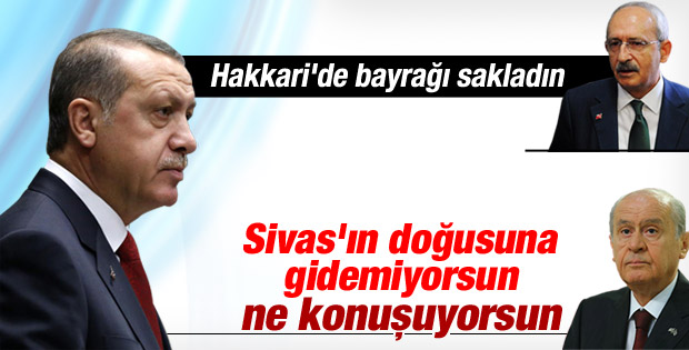 Erdoğan: Bendeki bayrak sevgisinin sende zerresi olamaz