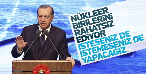 Cumhurbaşkanı Erdoğan nükleer karşıtlarına seslendi
