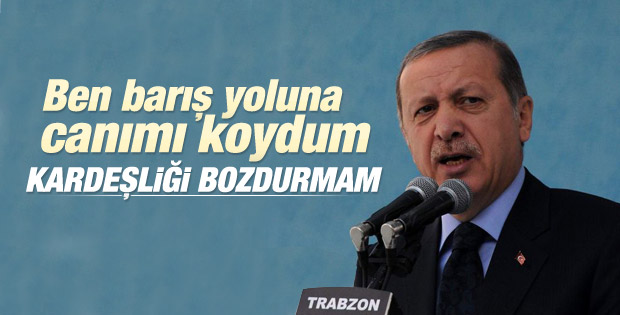 Erdoğan: Barış yoluna canımı koydum