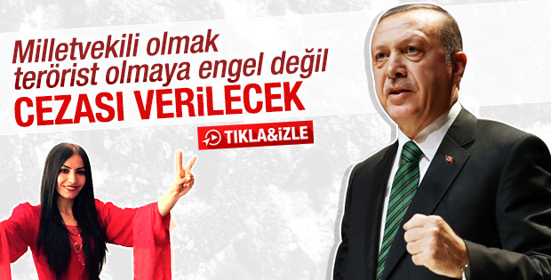 Erdoğan'dan terörist cenazesine giden HDP'lilere tepki