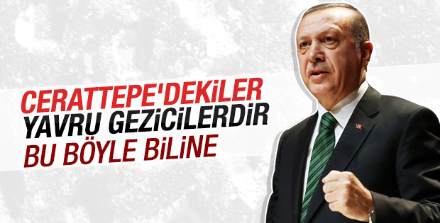 Cumhurbaşkanı Erdoğan'dan gündeme ilişkin açıklamalar