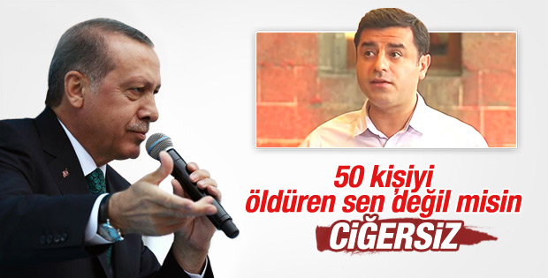 Cumhurbaşkanı Erdoğan'dan Demirtaş'a: Sende ciğer yok