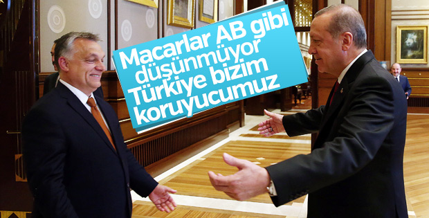 Macar Bakan: Türkiye'nin yanında durmak zorundayız