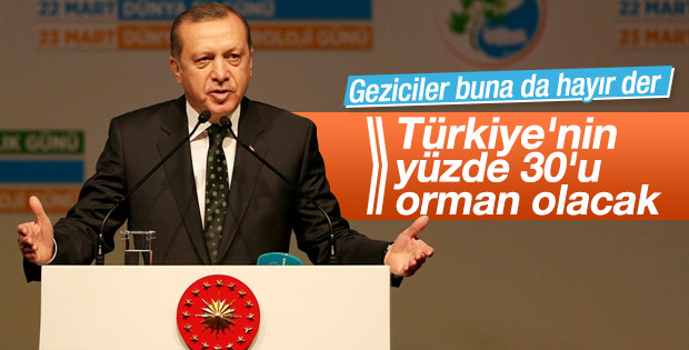 Erdoğan Türkiye Çınar Yılı etkinliğinde konuştu