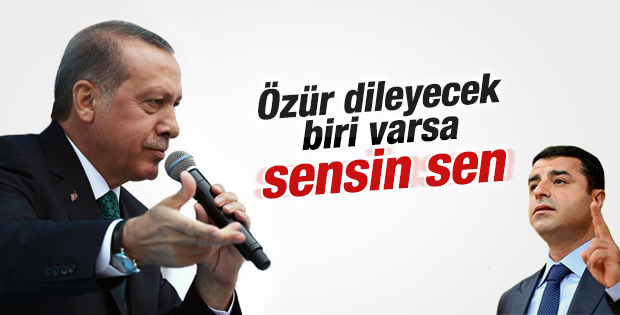 Cumhurbaşkanı Erdoğan'dan Demirtaş'a özür dilesin cevabı