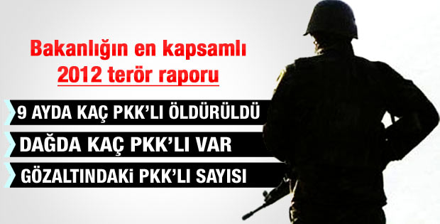 İçişleri Bakanlığı'nın en kapsamlı terör bilançosu raporu