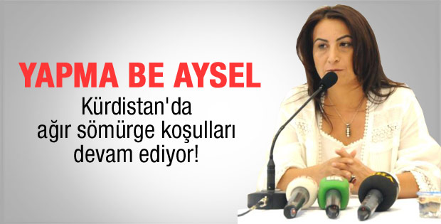 Aysel Tuğluk: Yıl 2012 yer Kürdistan