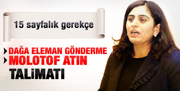 Tuncel'in hapis kararı gerekçesi: Dağa eleman gönderiyor