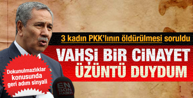Fransa'da 3 PKK'lının infazıyla ilgili Arınç'tan açıklama