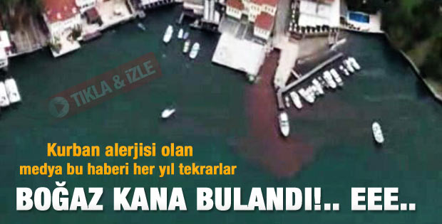 İstanbul Boğazı kana bulandı