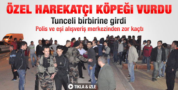 Tunceli'de polis köpeği vurdu ortalık karıştı