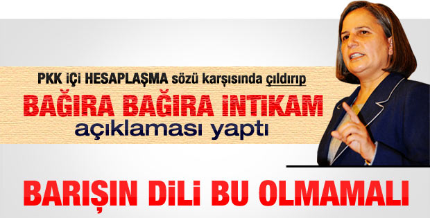 Kışanak meydan okudu: Fare olup yerin dibine girseler..