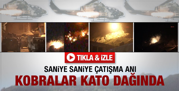 Kobralar Kato Dağı'nı cehenneme çevirdi - Video