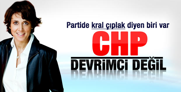 CHP'li Onanç: CHP devrimci bir parti değil