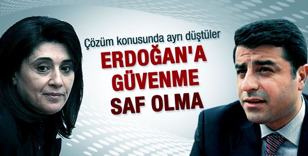 Demirtaş'tan Leyla Zana'ya eleştiri