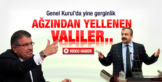 BDP'li Önder ile Bakan Şahin arasında gerginlik - Video