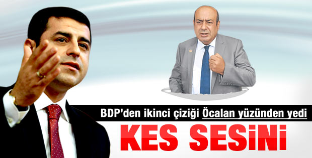 BDP'den Hasip Kaplan'a bir tepki daha