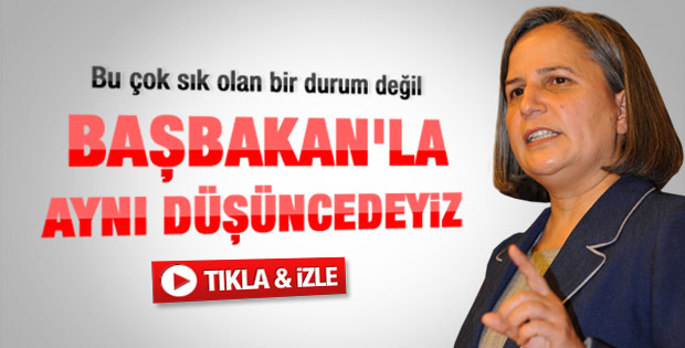 Gültan Kışanak: Başbakan'la aynı düşüncedeyiz