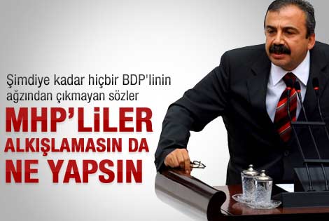 Sırrı Süreyya Önder: Türk ırkı aşağılandı
