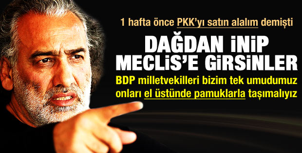 Sinan Çetin:PKK silah bırakıp Meclis'e girsin