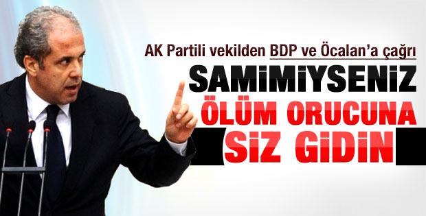 Şamil Tayyar: Öcalan ve BDP ölüm orucuna gitsin