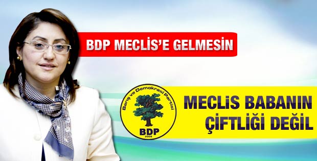 BDP'den Fatma Şahin'e: Meclis babasının çiftliği değil
