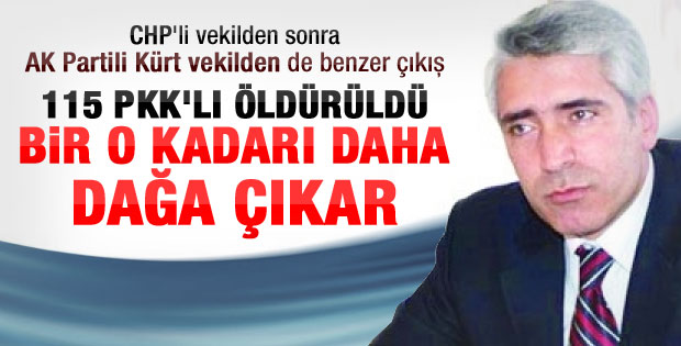 AK Partili Ensarioğlu: 115 PKK'lı daha dağa çıkabilir