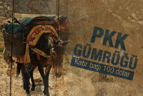 PKK katır başına 100 dolar alıyor