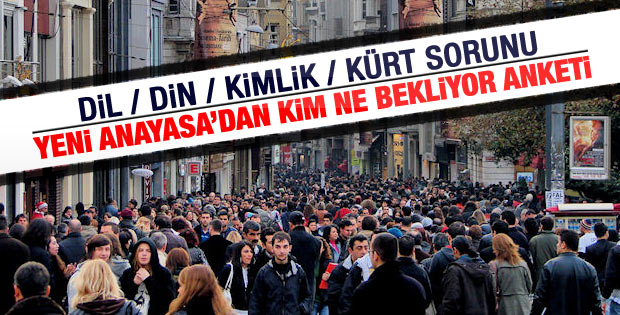 TESEV'den Anayasa anketi