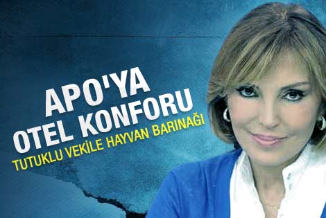 Ruhat Mengi: İmralı şartları Silivri'de neden yok