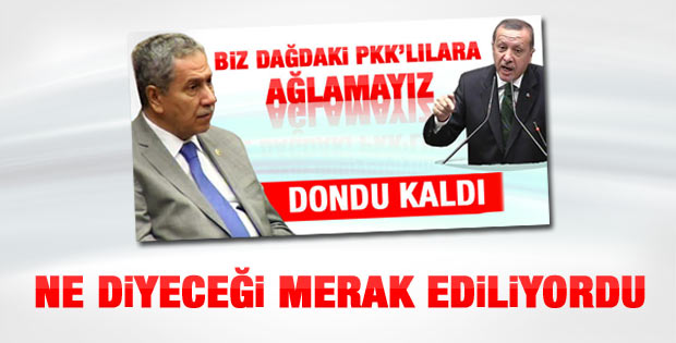 Başbakan Erdoğan'la ters düşen Arınç konuştu