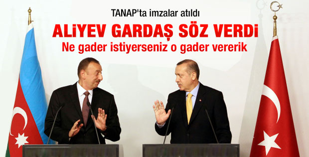 Aliyev gardaşından Erdoğan'a söz