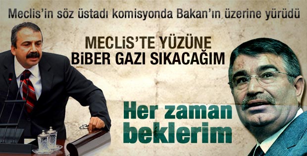 Sırrı Süreyya Önder Bakan Şahin'in üzerine yürüdü
