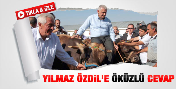 Binali Yıldırım'dan Özdil'e öküzlü cevap