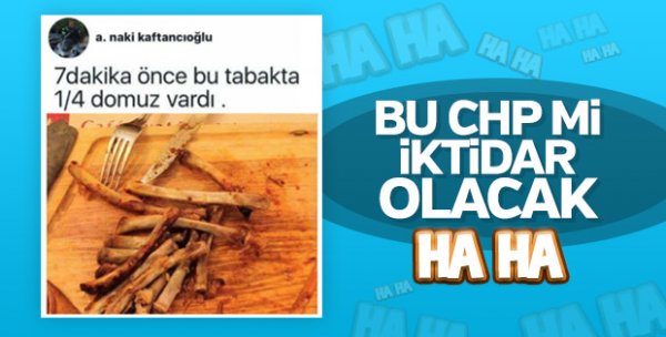 CHP, Türkiye'de satılan domuz etlerini araştırıyor