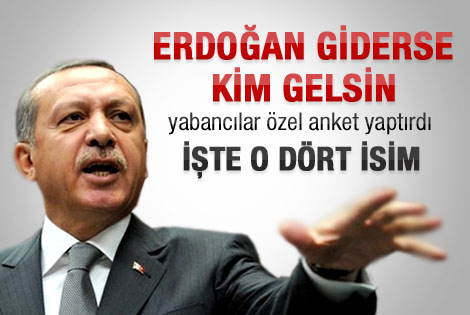 Erdoğan giderse kim gelsin anketi