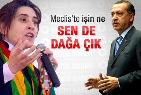 Erdoğan'dan Leyla Zana'ya yanıt - İzle