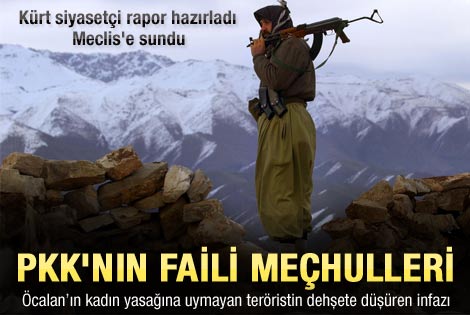 TBMM'ye sunulan PKK'nın korkunç infaz listesi