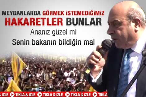 BDP'li Hasip Kaplan: Ananız güzel mi - Video