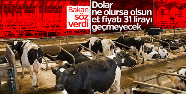 Bakan Fakıbaba canlı yayında ucuz et sözü verdi