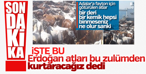 Cumhurbaşkanı: Adalar'da atlar faytonda kullanılmayacak