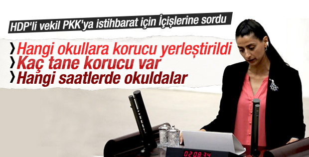 HDP'li vekilden bakanlığa skandal sorular