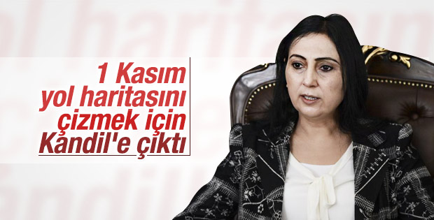 HDP heyeti Kandil'e çıktı