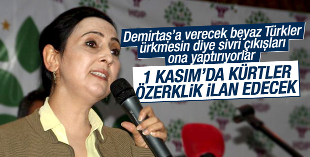 Figen Yüksekdağ Van'a özerklik sözü verdi